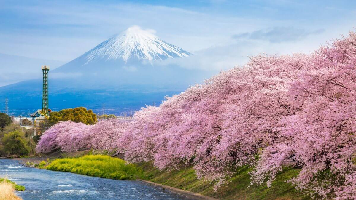 Japonya