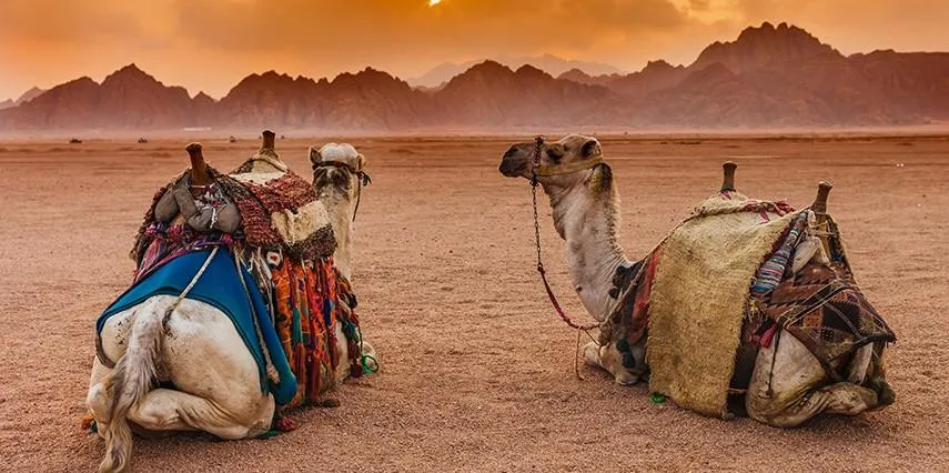 Vizesiz Sharm El Sheikh Turu / 5 Gece Her Şey Dahil Otel Konaklamalı — fotoğraf 2