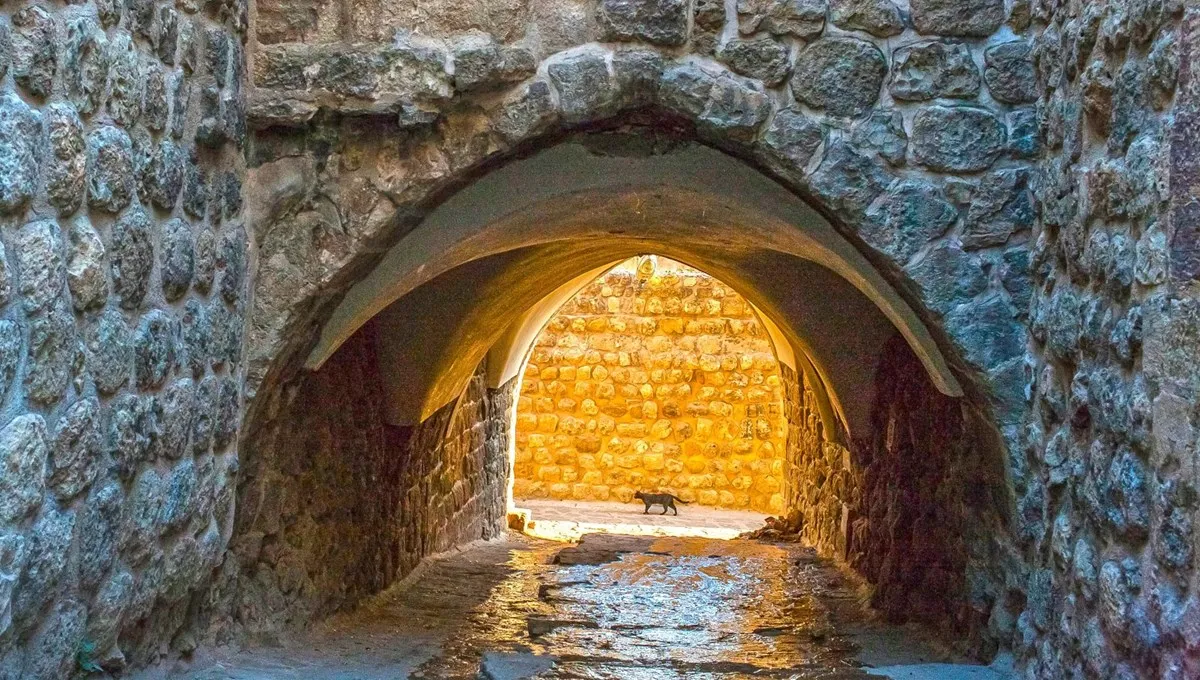 Gap Turu / Ramazan Bayramı Özel — fotoğraf 2