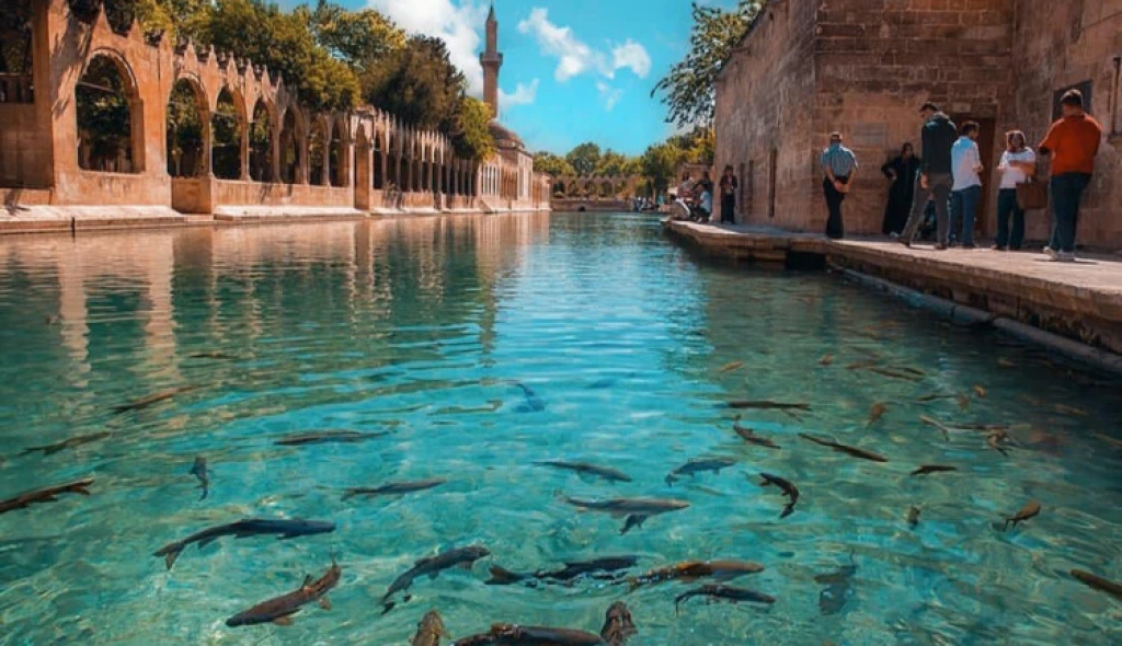 Rüya Gibi Gap Turu — fotoğraf 5