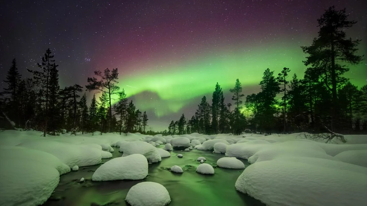ST Petersburg & Moskova Pegasus Havayolları ile 5 Gece 6 Gün LED-VKO — fotoğraf 5