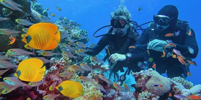 Vizesiz Sharm El Sheikh Turu / 5 Gece Her Şey Dahil Otel Konaklamalı